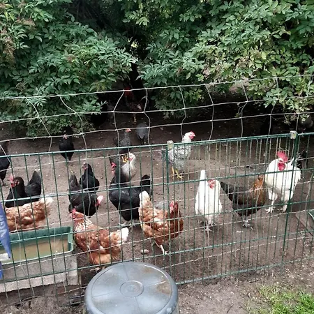 Jagoda In Der Lueneburger Heide Frankenfeld