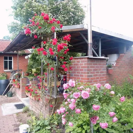 Jagoda In Der Lueneburger Heide * Frankenfeld