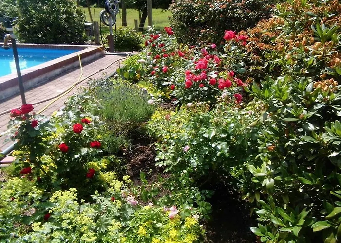 Jagoda In Der Lueneburger Heide *